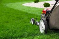 Lagrangeville Lawn Care Pros image 6